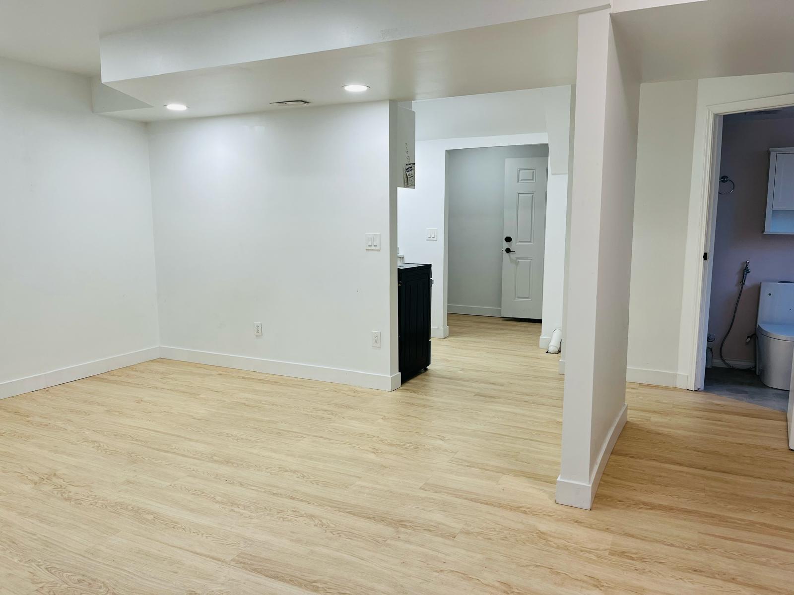 11650 202B St (Basement)